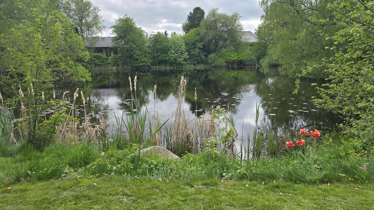 image 02