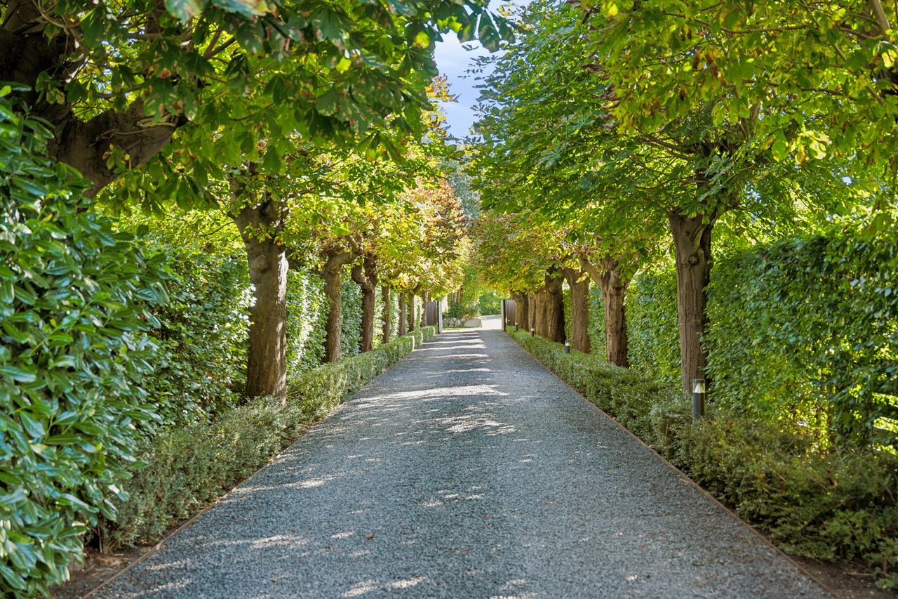 image 03